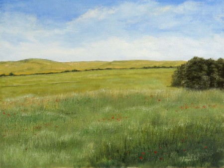 Meadows - Oil Painting on Canvas by artist Darko Topalski