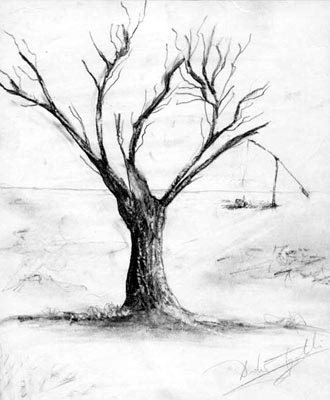 Tree - graphite pencil drawing by artist Darko Topalski