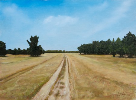 Country Road Through the Fields - Oil Painting on HDF by artist Darko Topalski