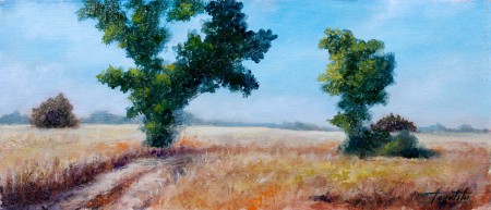 Trees in a Wheat Fields - Original Oil Painting on Canvas by artist Darko Topalski