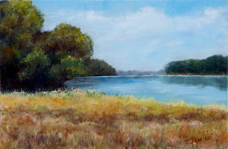 Forrest By the Lake - Original Oil Painting on HDF by artist Darko Topalski