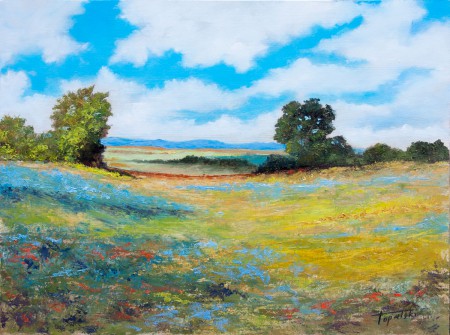 Fine Art - Sunny Valley - Original Oil Painting on HDF by artist Darko Topalski