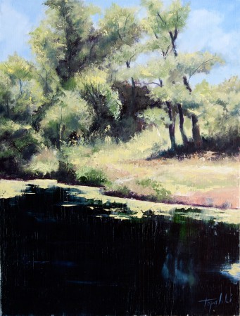Fine Art - On the River Pond - Original Oil Painting on HDF by artist Darko Topalski