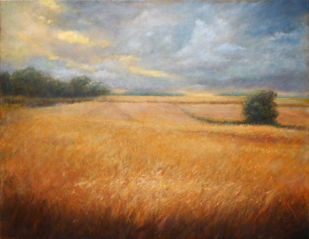 Fine Art - Barley Field - Original Oil Painting on Canvas by artist Darko Topalski