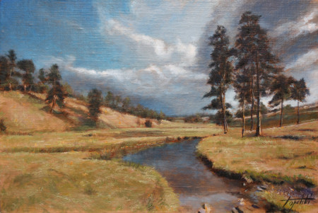 Fine Art - Mountain Creek - Original Oil Painting on Canvas by artist Darko Topalski