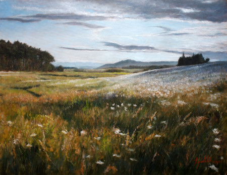 Fine Art - Flowery Fields - Original Oil Painting on Canvas by artist Darko Topalski