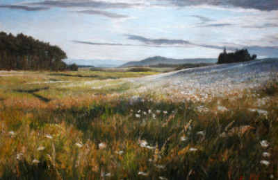 Flowery Fields – Oil Painting
