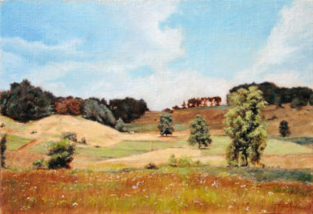 Fine Art - Mountain Hillside - Original Oil Painting on Canvas by artist Darko Topalski - artwork landscape gallery