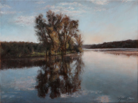 Fine Art - A Lake - Original Oil Painting on Canvas by artist Darko Topalski