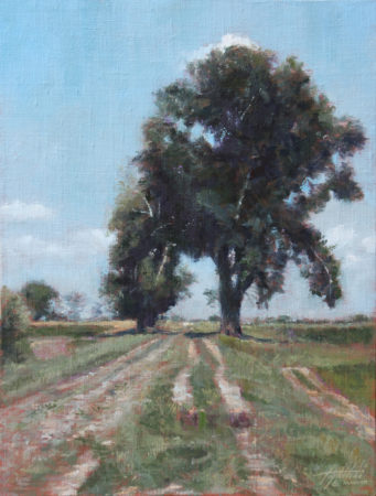 Fine Art - The Tree in a Field - Original Oil Painting on Canvas by artist Darko Topalski