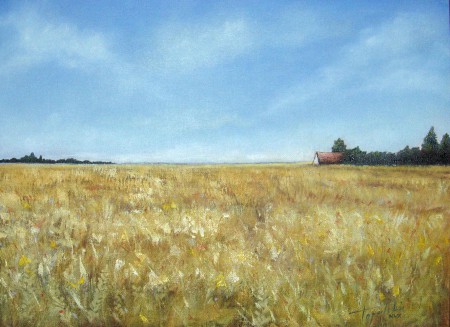 Fields of Gold - Oil Painting on Canvas by artist Darko Topalski