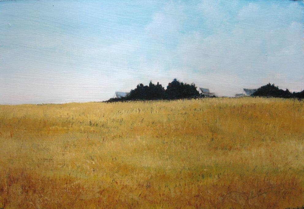 Golden Fields – Oil Painting