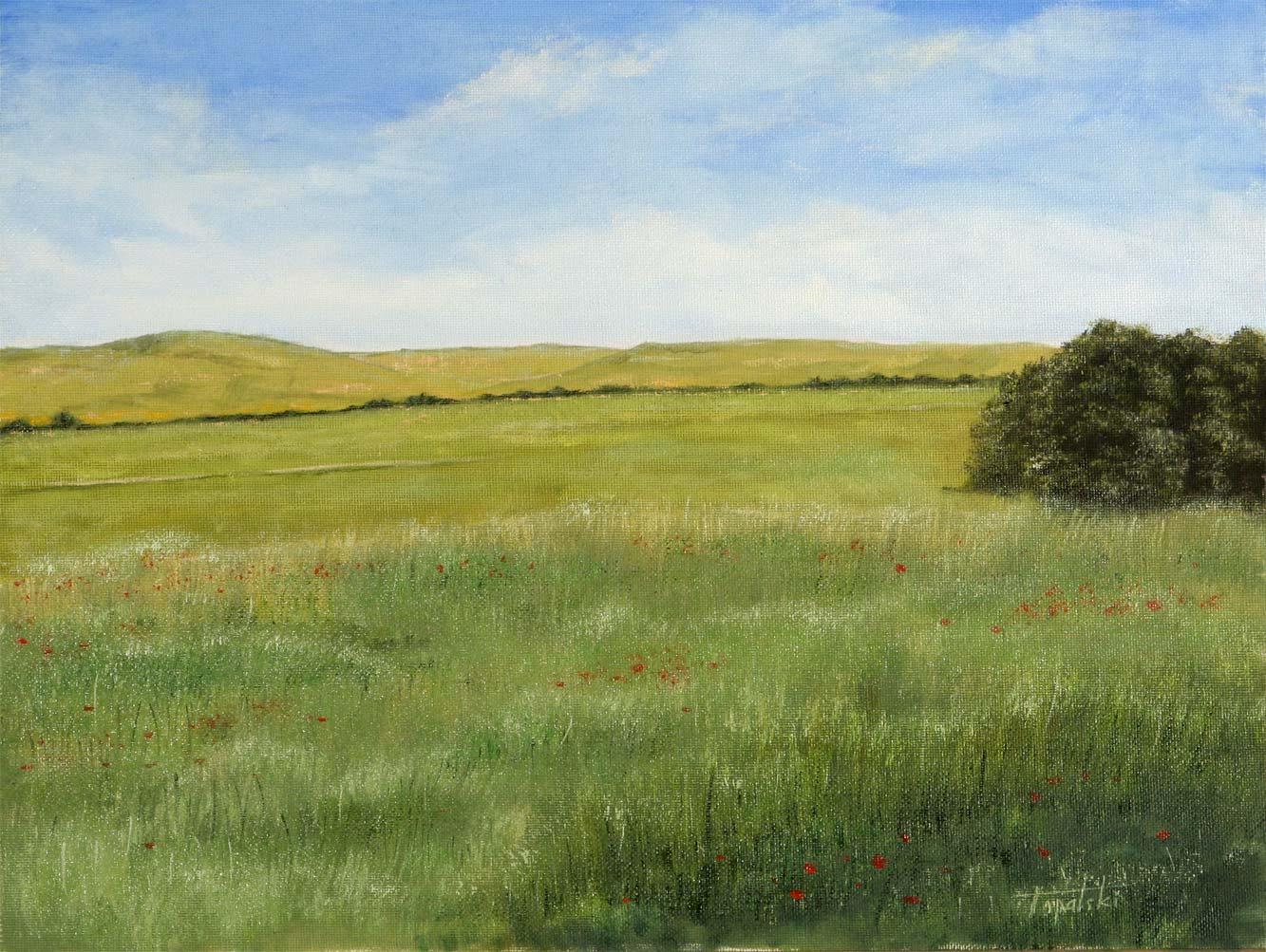 Meadows – Oil Painting