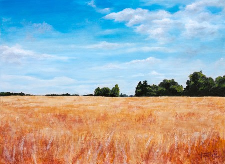 Fields of Wheat - Original Oil Painting on HDF by artist Darko Topalski
