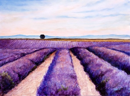 Fine Art - Lavander Fields - Original Oil Painting on HDF by artist Darko Topalski