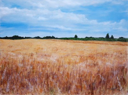 Wheat Fields - Original Oil Painting on HDF by artist Darko Topalski