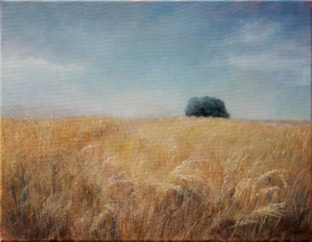 Fine Art - Wheat Field - Landscape Original Oil Painting artwork on Canvas by artist Darko Topalski