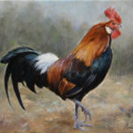 Rooster – Commissioned Animal Oil painting