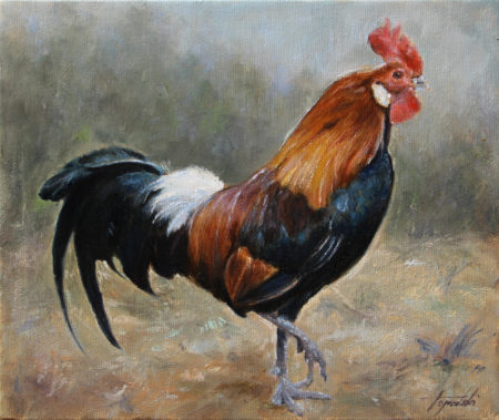 Fine Art - Rooster - Commissioned Original Animal Oil Painting on Canvas by artist Darko Topalski