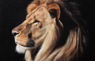 Lion Portrait – Commissioned painting