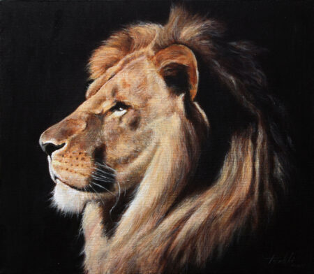 Fine Art - Lion Portrait - Original animal Oil Painting on Canvas by artist Darko Topalski